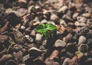 Entenda o que é ESG e por que a sigla é importante para as empresas