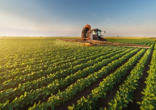 Diálogos Contábeis: eSocial e EFD-Reinf para o produtor rural serão apresentados em encontro on-line