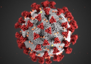 Quanto tempo o novo coronavírus pode sobreviver na sua empresa?
