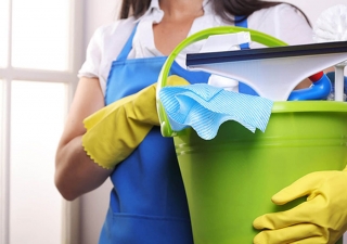 Diaristas e empregadas domésticas são diferentes perante a Previdência Social?